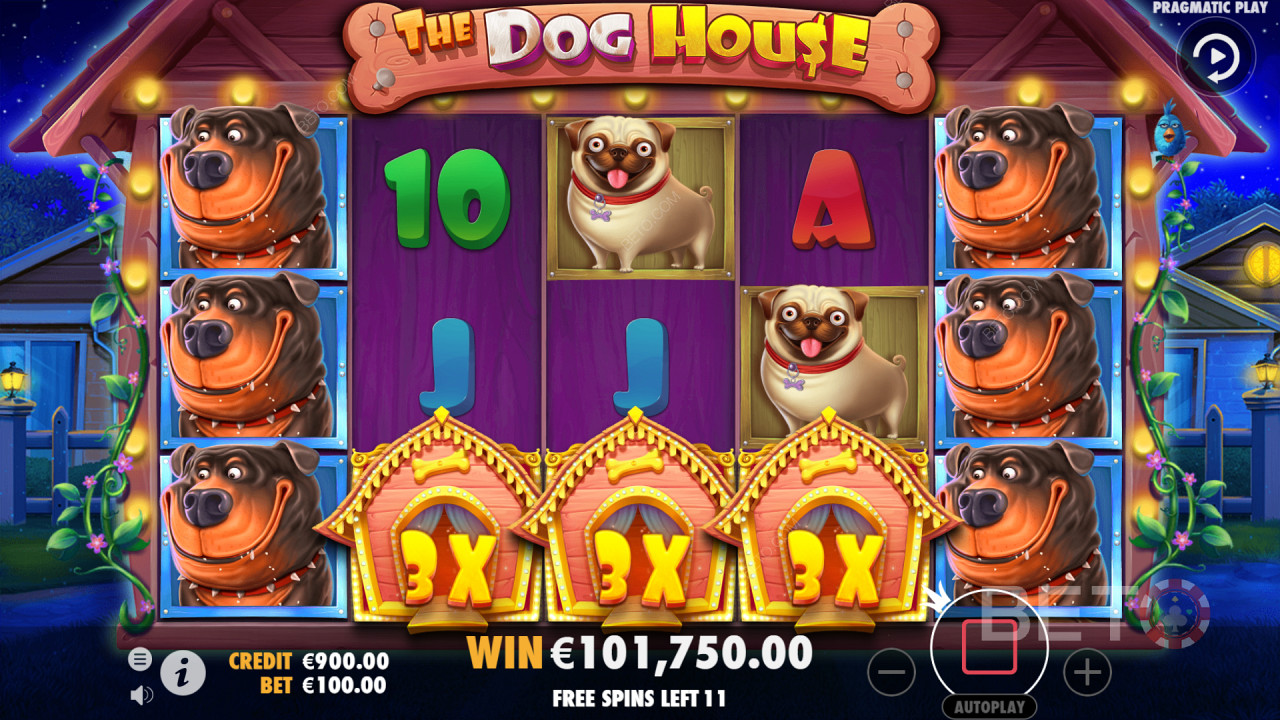 The Dog House - Slot yang sangat ramah dan populer