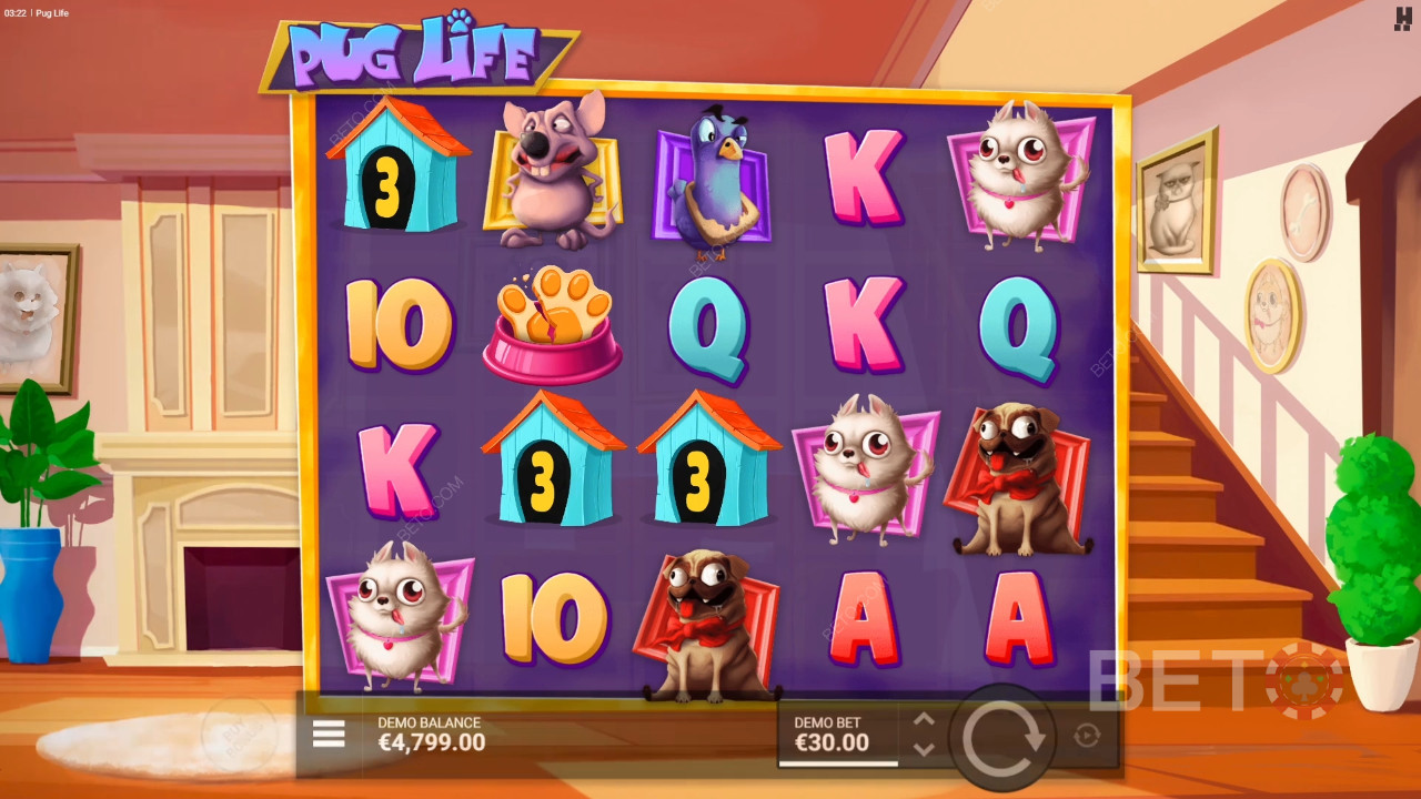 Ulasan Pug Life oleh BETO Slots