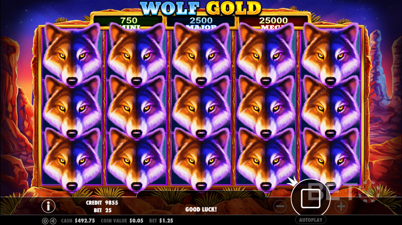 Simbol Scatter Wolf Gold memicu putaran Spin Gratis