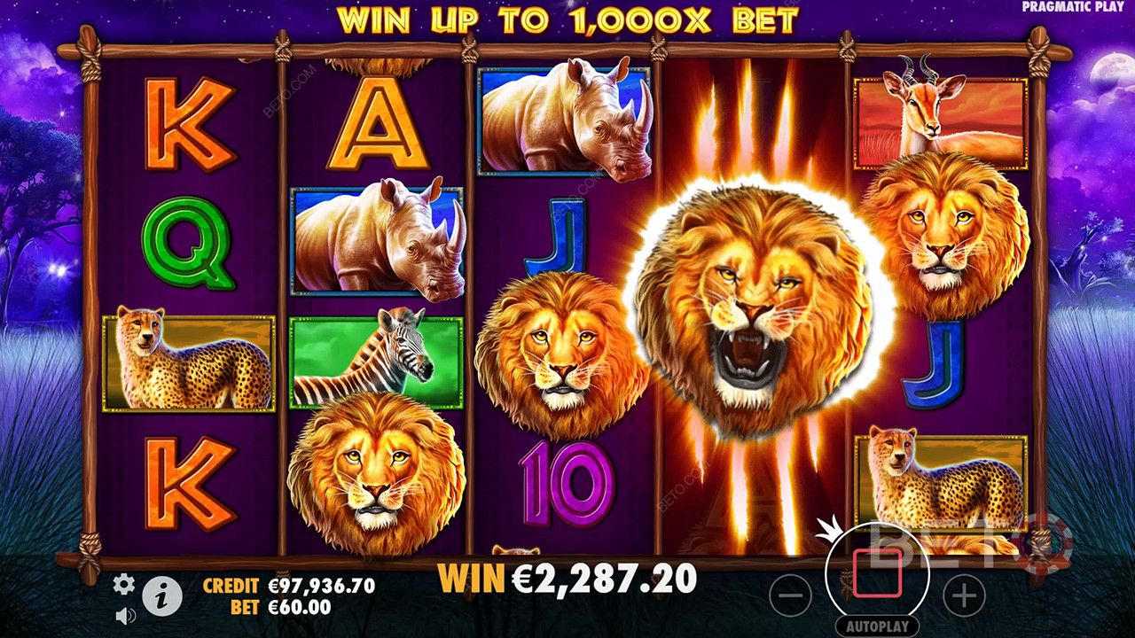 Safari King (Pragmatic Play)  Main Gratis
