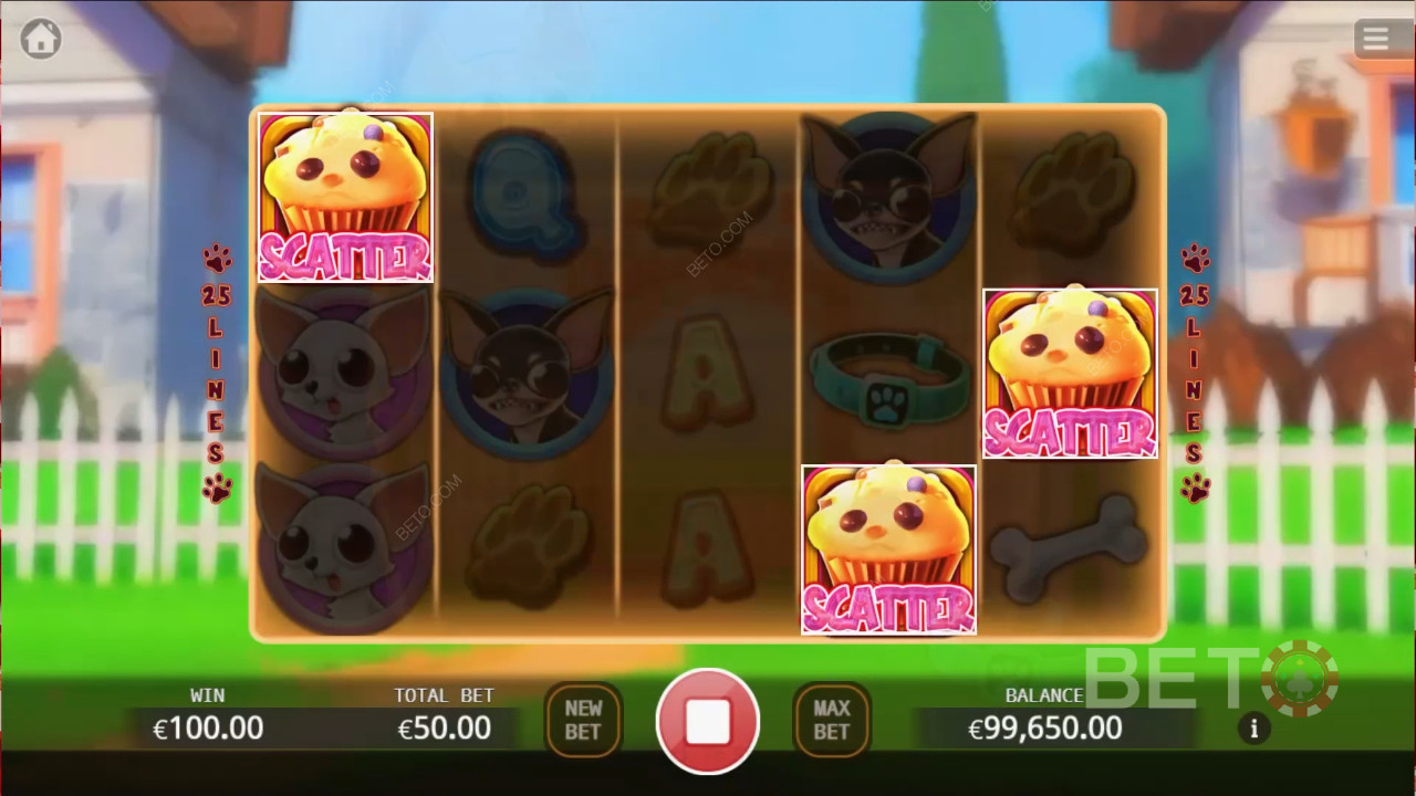 Chihuahua Party Main Gratis