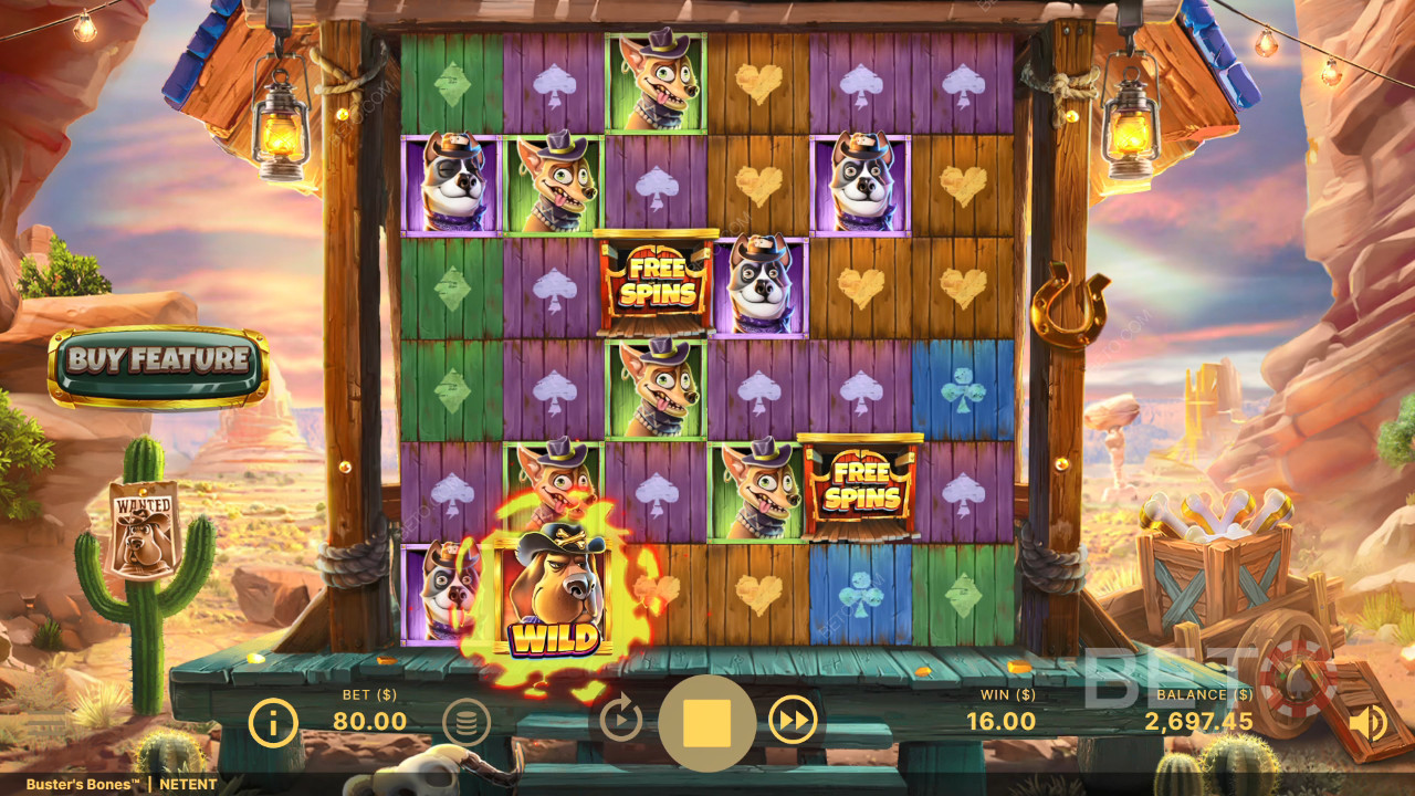 Fitur Bonus Dijelaskan di Buster