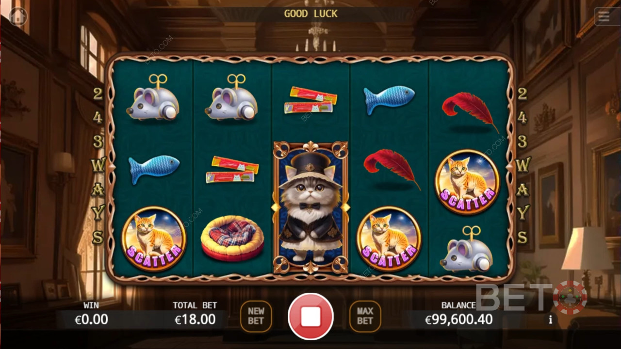 Noble Cat Main Gratis