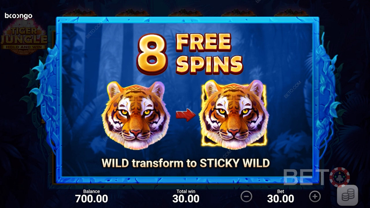Anda diberikan 8 Spin Gratis dan semua wild menjadi Sticky Wilds selama putaran Free Spins