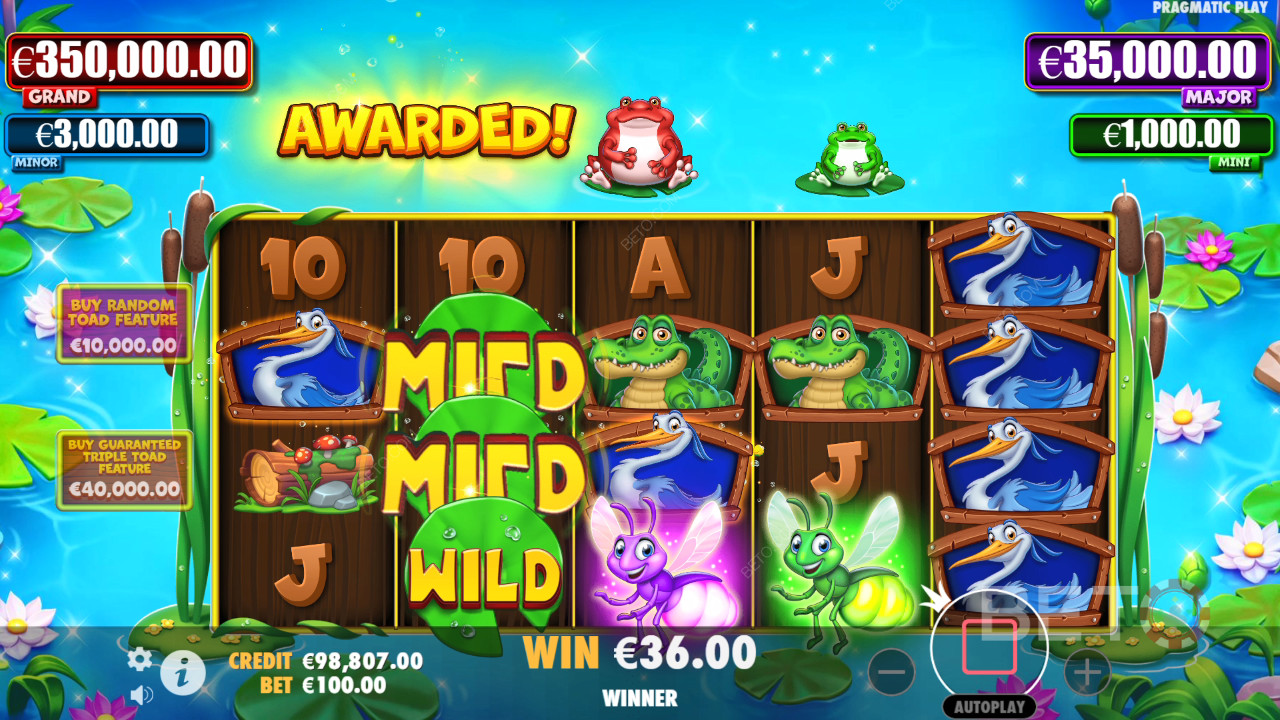 Ulasan Kodok Kecil oleh BETO Slots