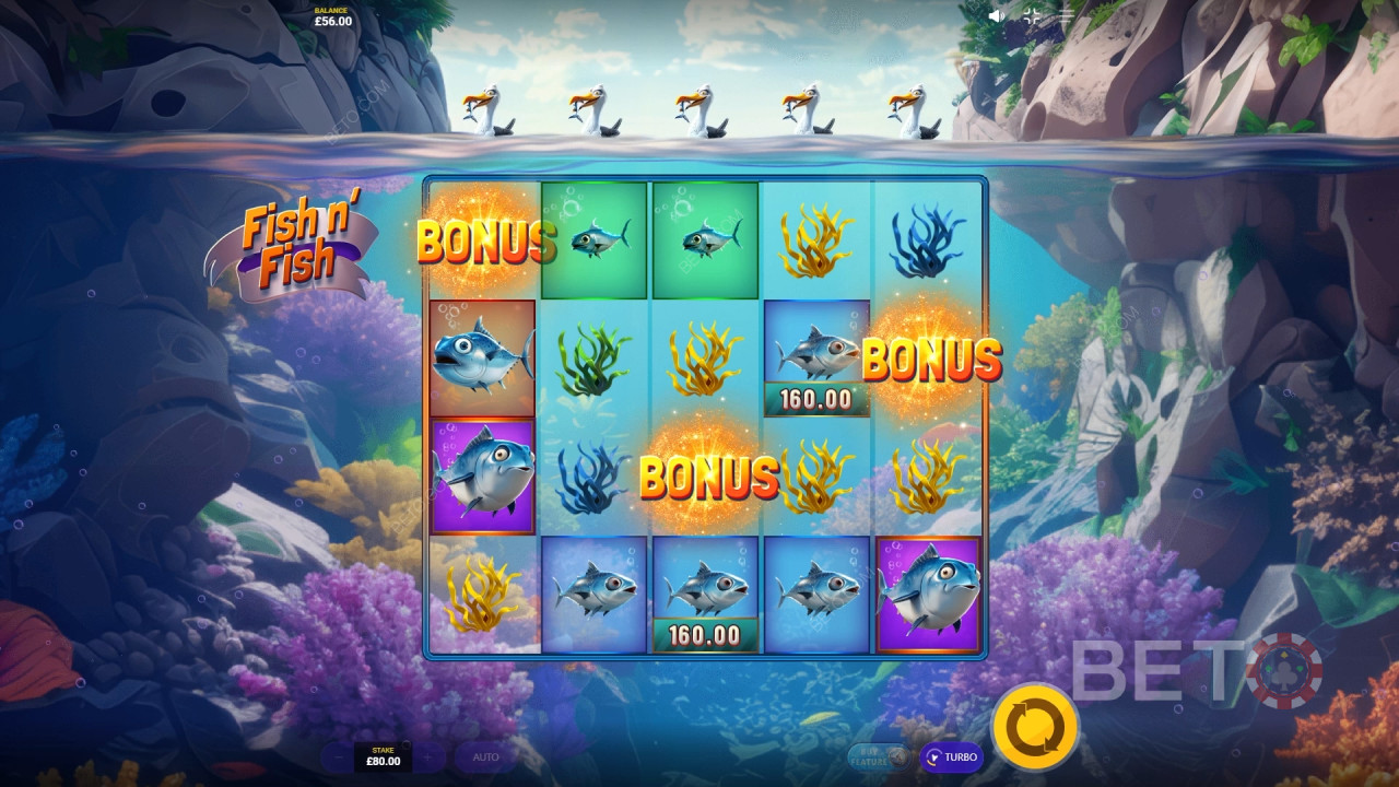 Ulasan Fish n