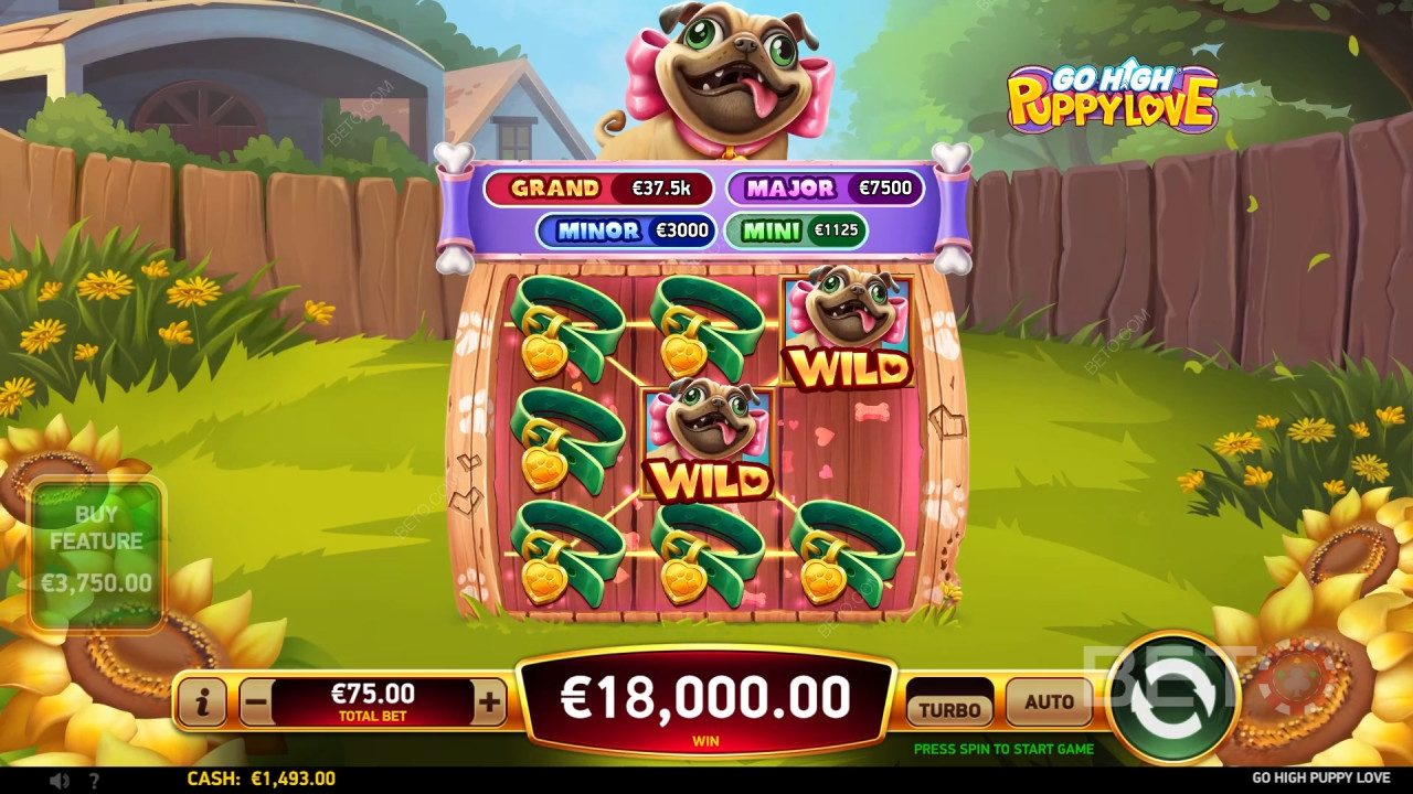 Go High Puppy Love Main Gratis