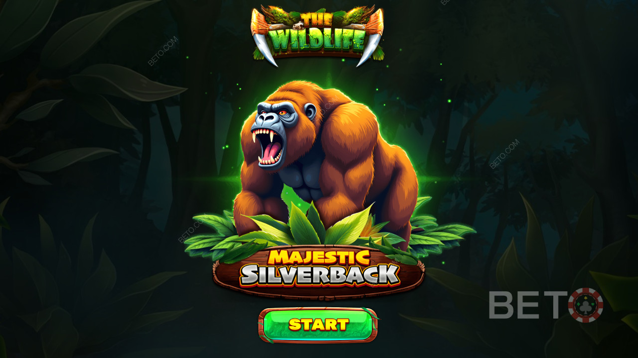 Fitur Bonus Dijelaskan di Majestic Silverback oleh Spinomenal