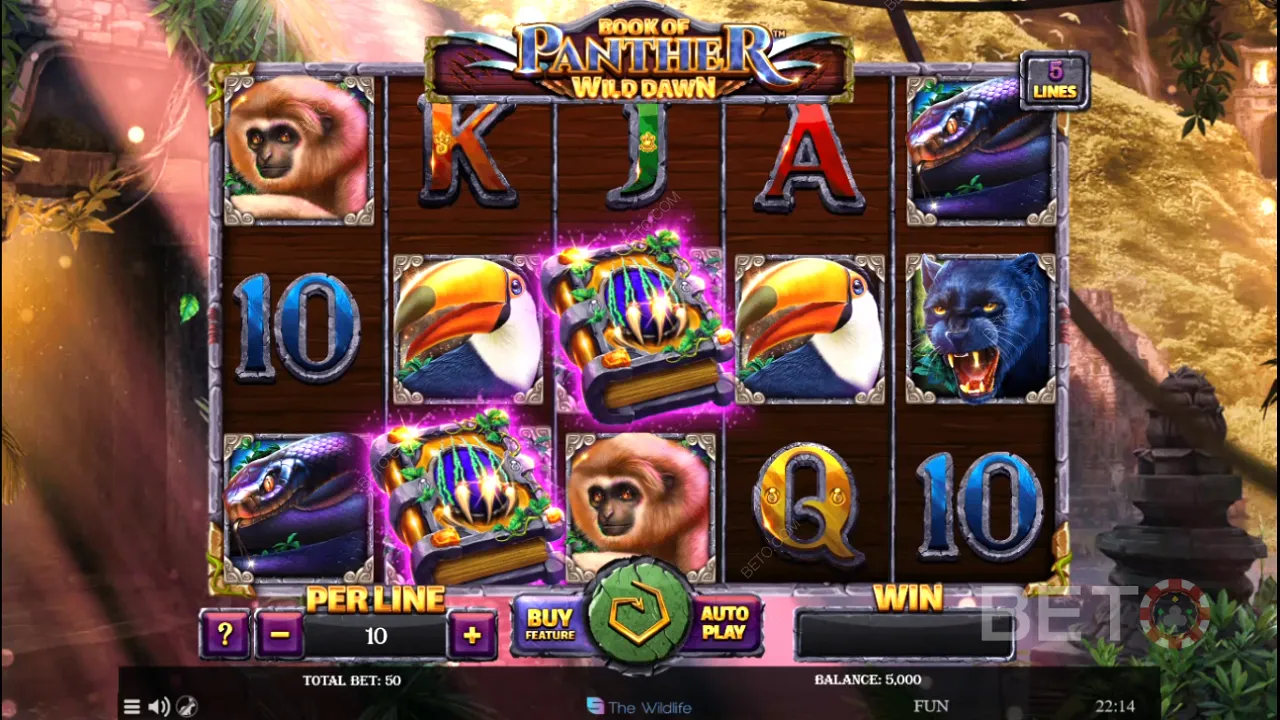 Gameplay slot online Book of Panther Wild Dawn