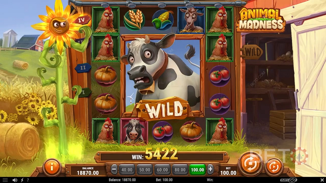 Animal Madness Main Gratis