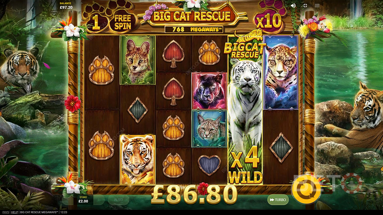 Ulasan Megaways Penyelamatan Kucing Besar oleh BETO Slots
