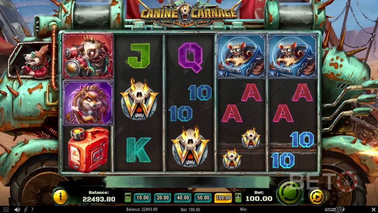 Ulasan Pembantaian Anjing oleh BETO Slots