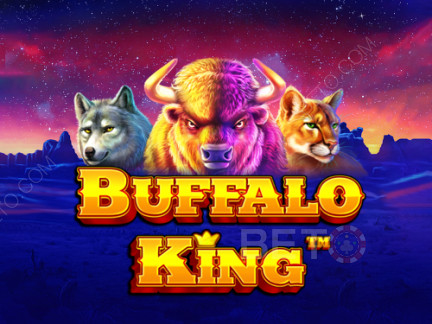 Czech: Buffalo King  Demo