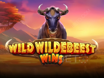 Czech: Wild Wildebeest Wins Demo